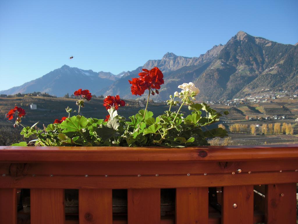 Doppelzimmer mit Balkon