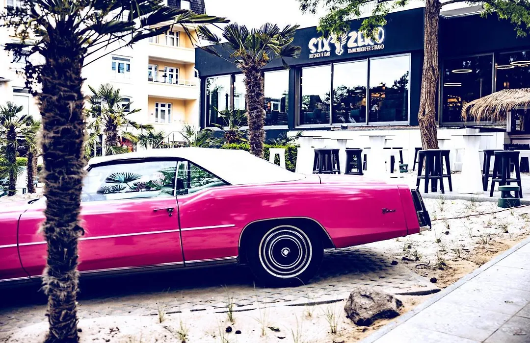 The Flamingo-1