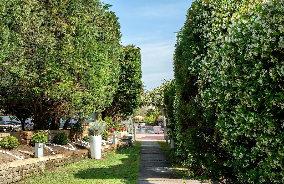 Montespina Park Hotel-1