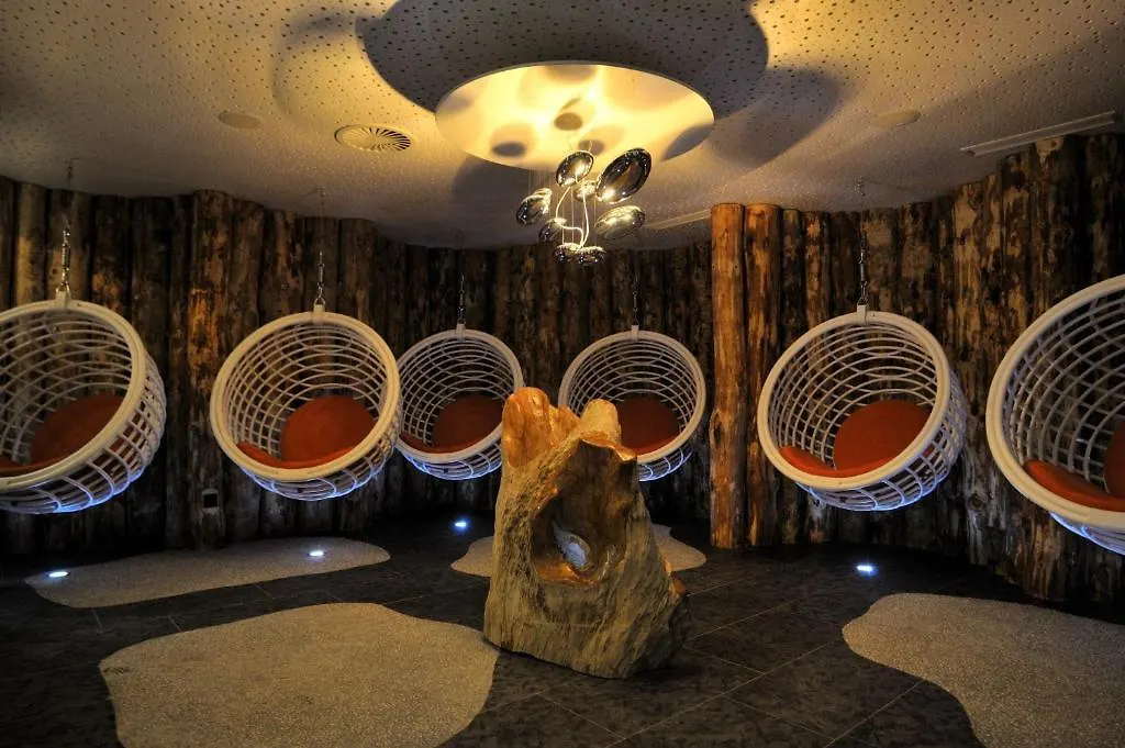 Hotel Alpine Palace-1