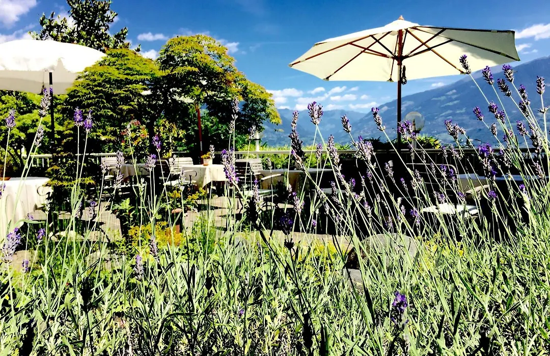Hotel Braunsbergerhof-1