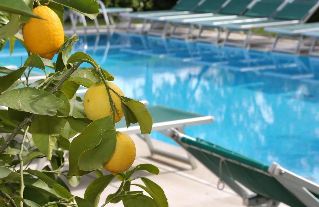 Hotel Al Sole Bardolino-1