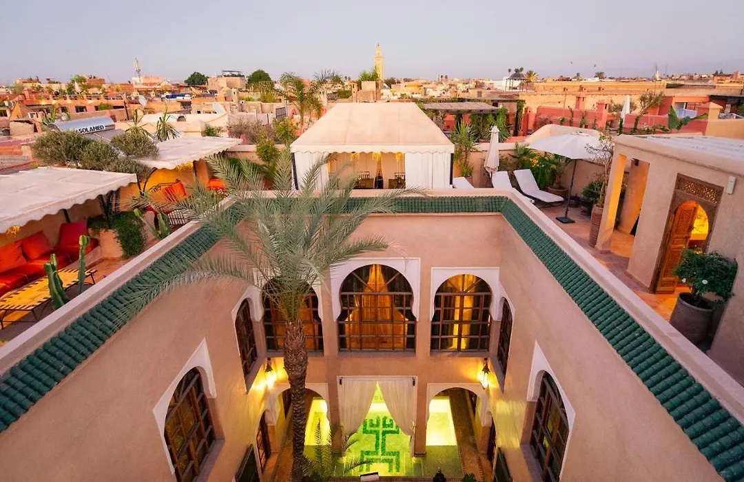 Riad Selouane-1