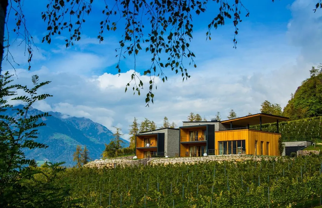 Romantik Chalet Eichenstein im Weinberg-1
