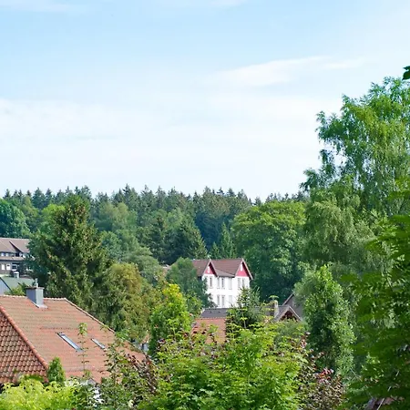 Hotel Harz-3