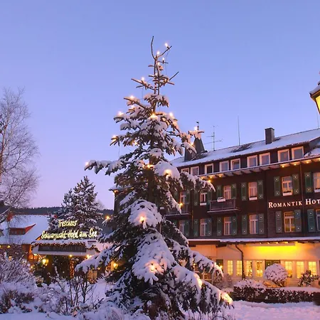Treschers Schwarzwald Hotel-3