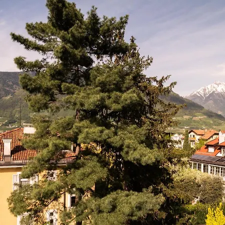 Hotel Villa Laurus-2
