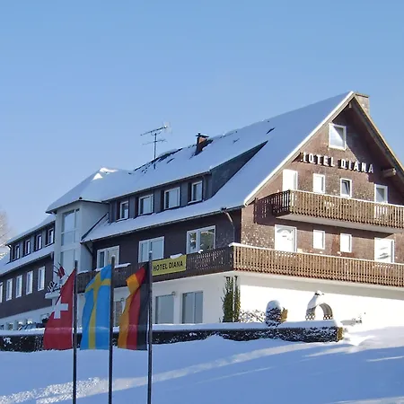 Hotel Diana-2
