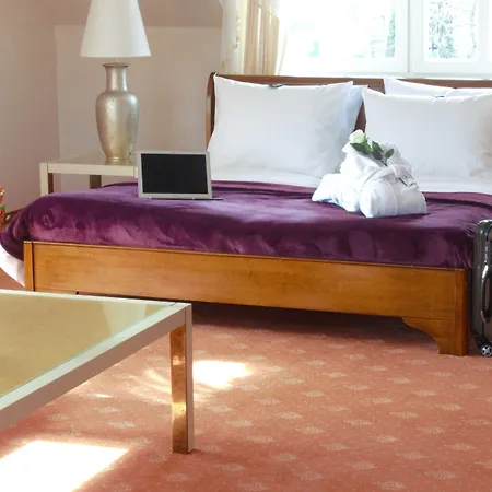 Boutiquehotel Schloßpalais-3