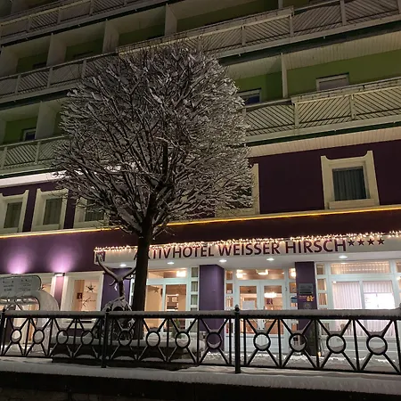 AKTIVHOTEL Weisser Hirsch-3