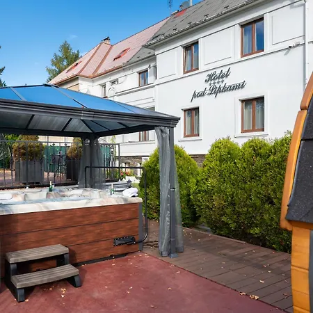 Wellness & Spa Boutique Hotel Pod Lipkami Prague-3