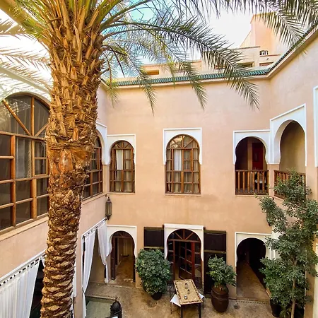 Riad Selouane-2