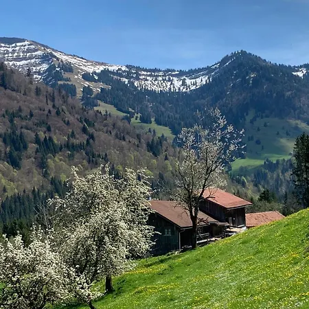 Interest Vitalhotel - Partnerbetrieb von Oberstaufen PLUS-2