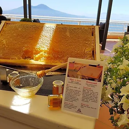 Hotel Paradiso-3