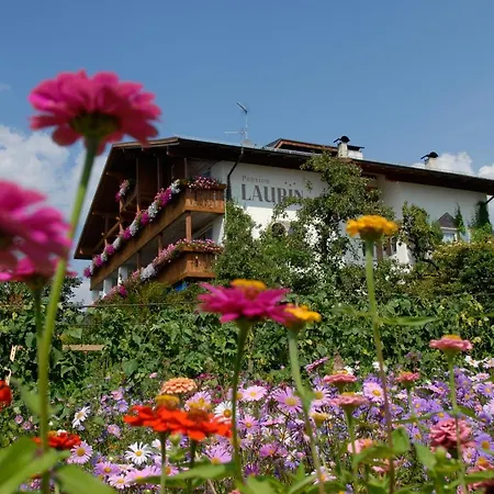 Pension Laurin-2