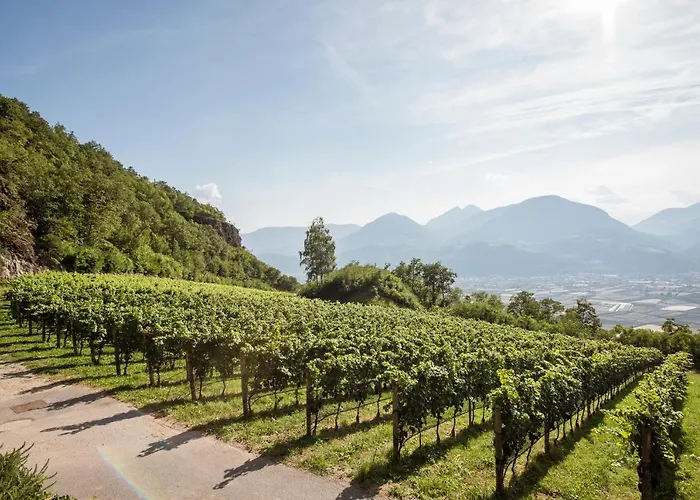 Romantik Chalet Eichenstein im Weinberg Meran