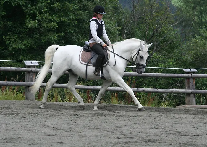 Ferienanlage Altachhof Saalbach-Hinterglemm