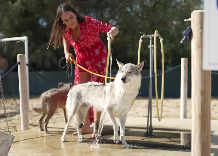 Pareus Beach Resort Caorle