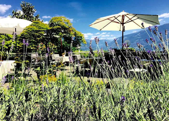 Hotel Braunsbergerhof Lana